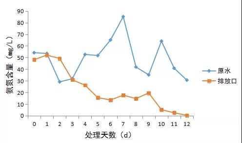 乳制品氨氮超标快速降解