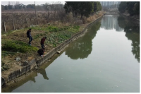 河道治理投加除氟剂是否对水中微生物产生影响